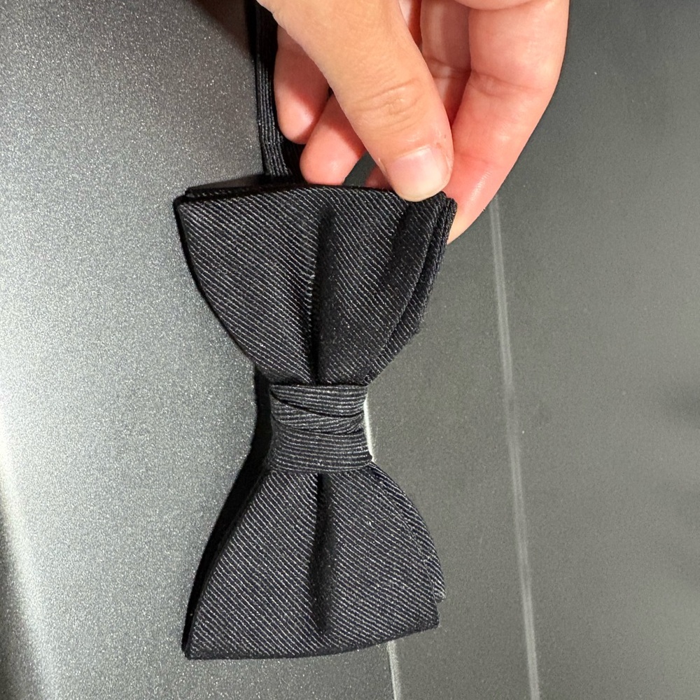 Zara Elegant Black Bow Tie - Medium